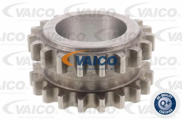 Sprocket, crankshaft