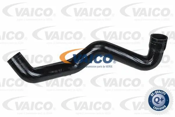 Charge Air Hose