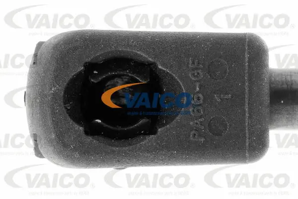 Gas Spring, bonnet
