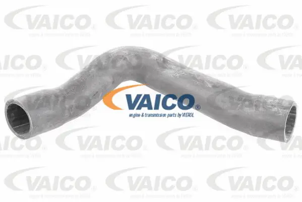 Charge Air Hose
