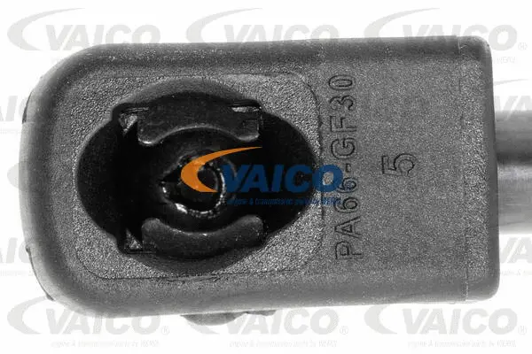 Gas Spring, boot/cargo area