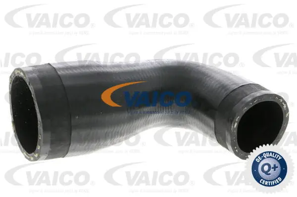 Charge Air Hose