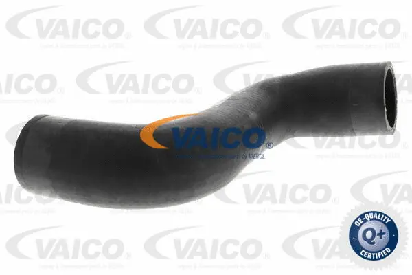 Charge Air Hose