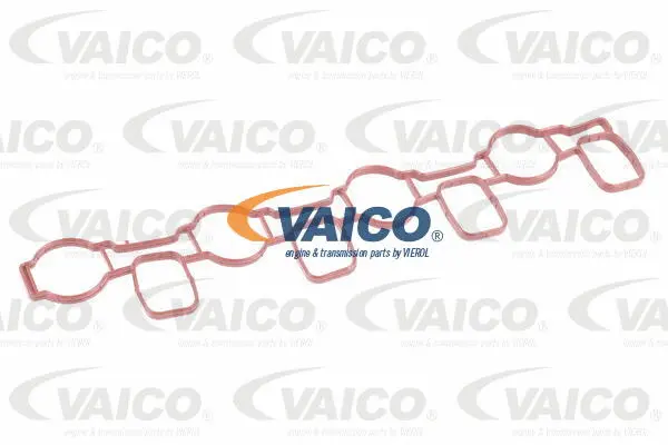 Intake Manifold Module