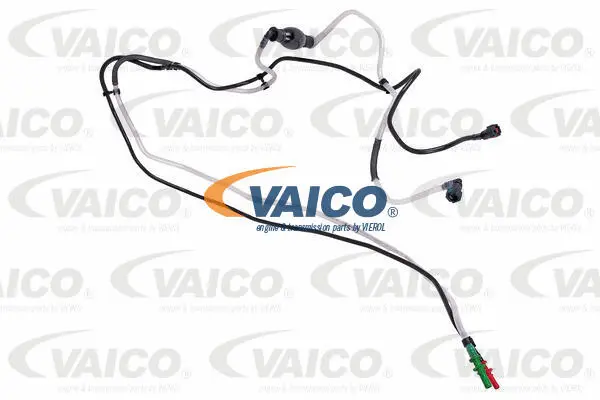 Fuel Line
