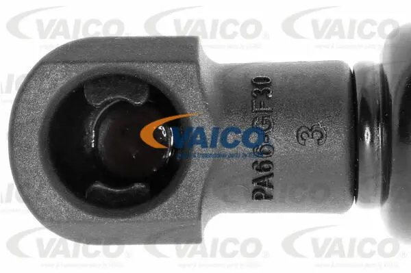 Gas Spring, boot/cargo area