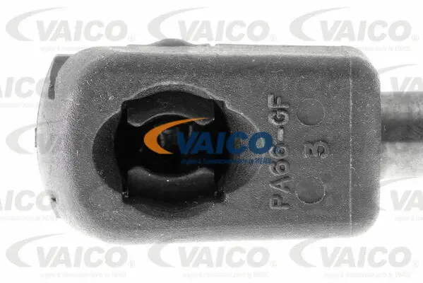 Gas Spring, boot/cargo area