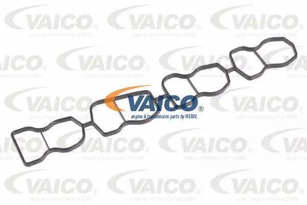 Intake Manifold Module