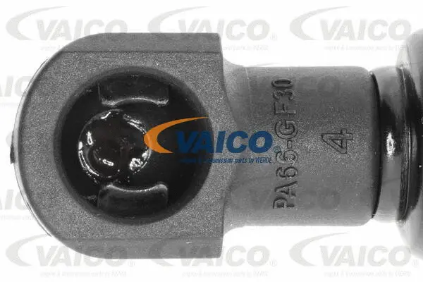 Gas Spring, boot/cargo area