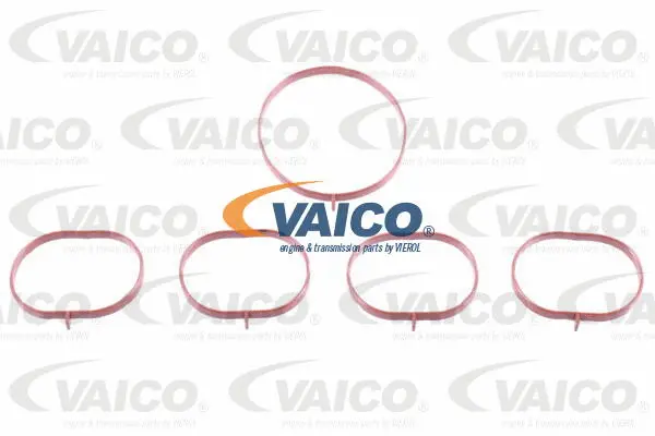 Intake Manifold Module