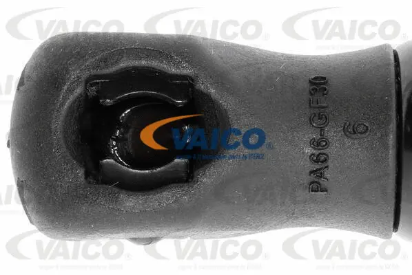 Gas Spring, bonnet