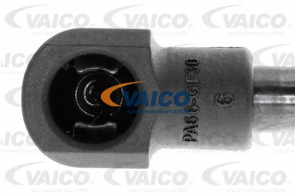 Gas Spring, bonnet