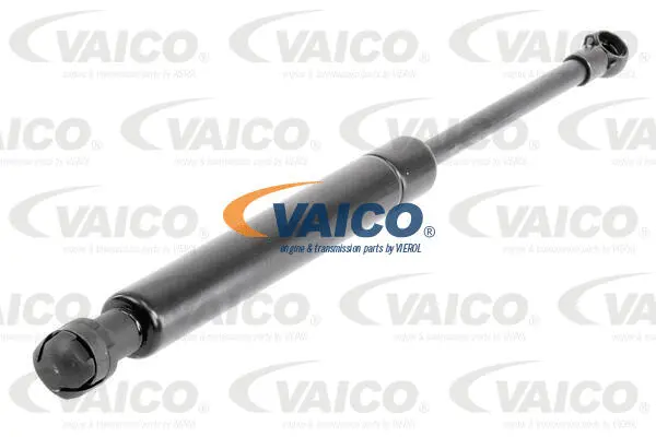 Gas Spring, boot/cargo area