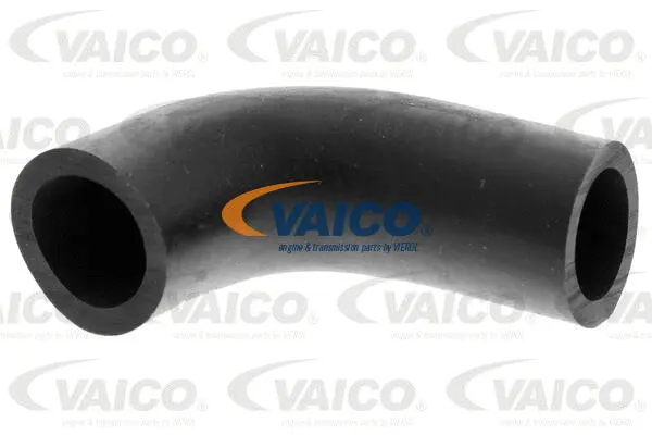Oil Hose