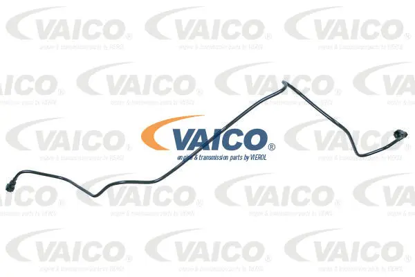 Fuel Line