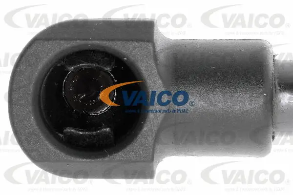 Gas Spring, bonnet