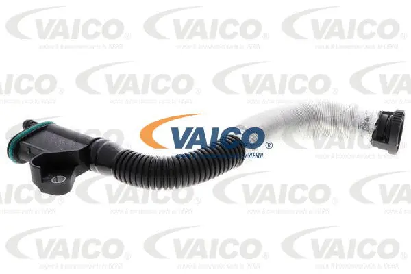 Hose, crankcase ventilation