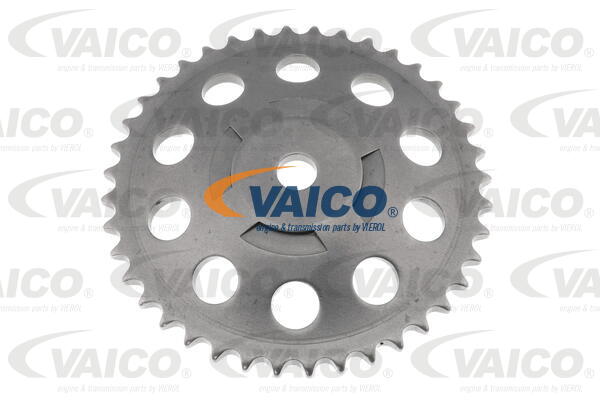 Gear/Sprocket, camshaft