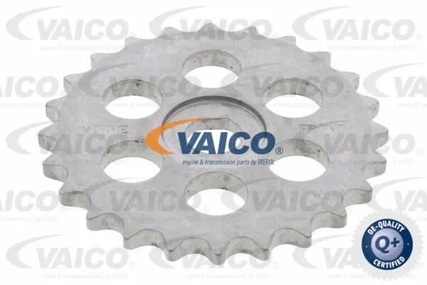 Chain Kit, oil pump drive