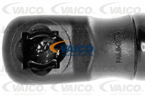 Gas Spring, boot/cargo area