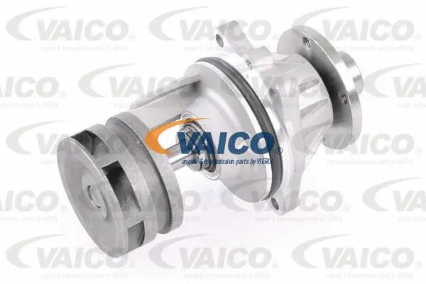 Water Pump, engine cooling (V20-50063)