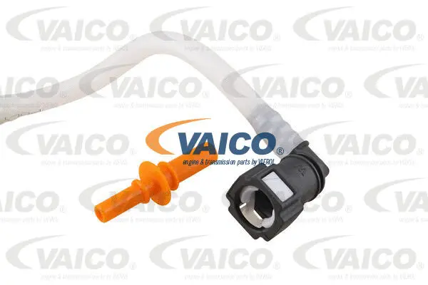 Fuel Line