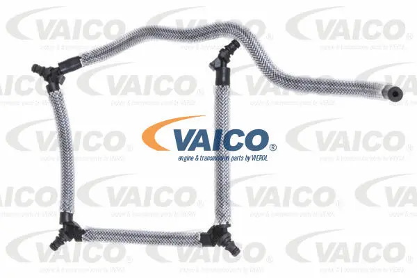 Fuel Hose (V42-0857)