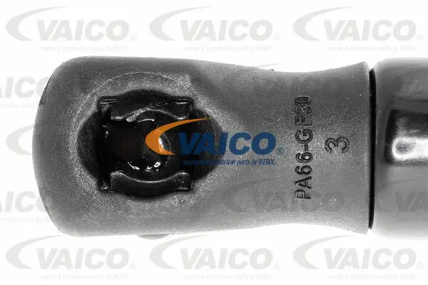 Gas Spring, boot/cargo area