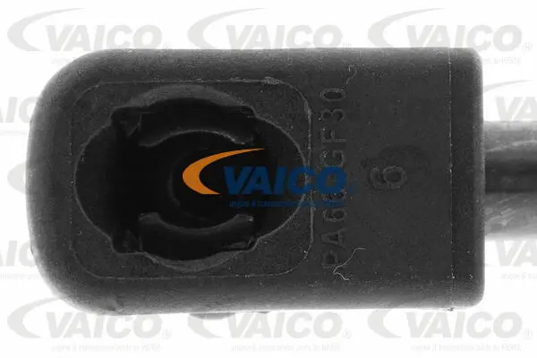 Gas Spring, boot/cargo area