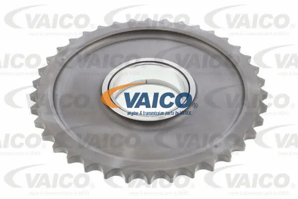 Gear/Sprocket, camshaft