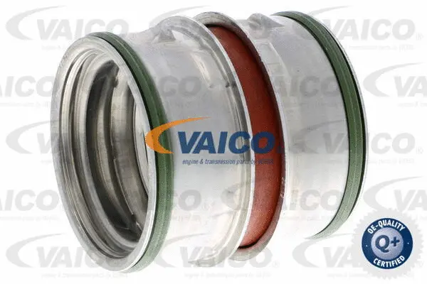 Charge Air Hose