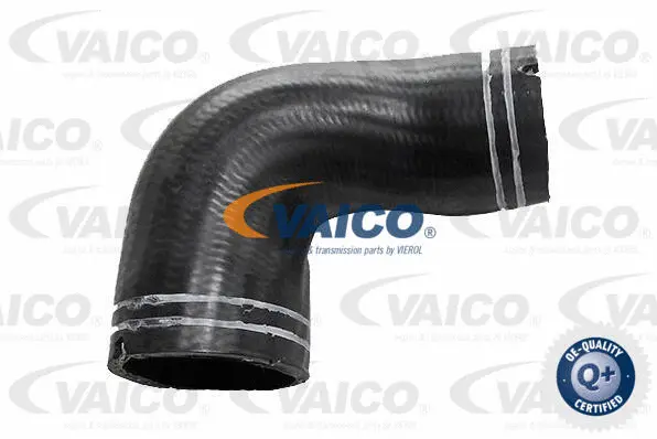 Charge Air Hose