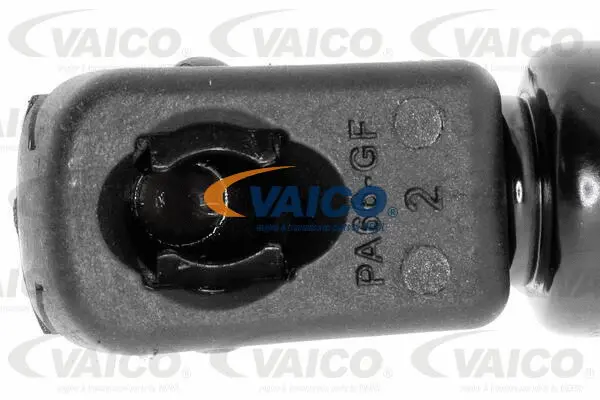 Gas Spring, boot/cargo area