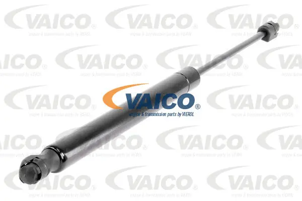 Gas Spring, boot/cargo area