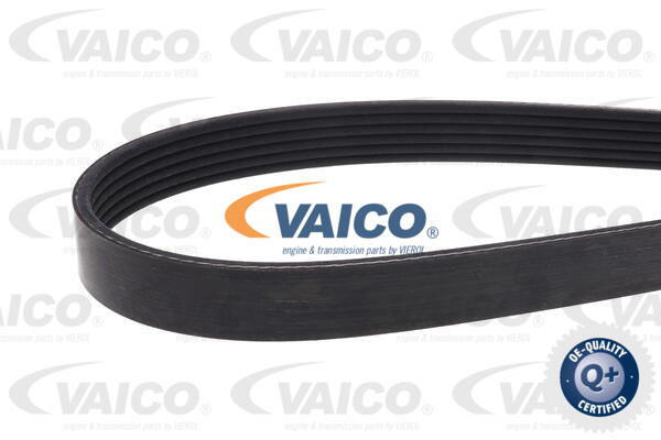 V-Ribbed Belt
