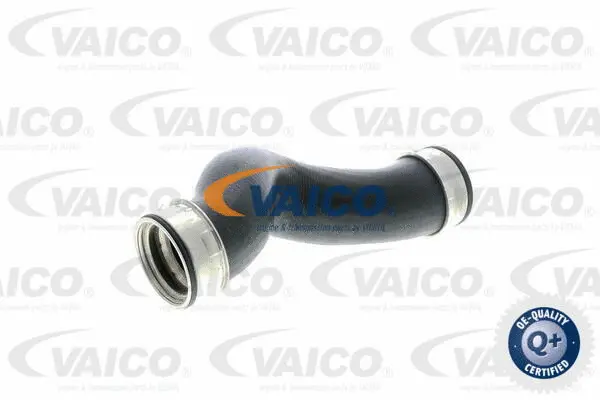 Charge Air Hose