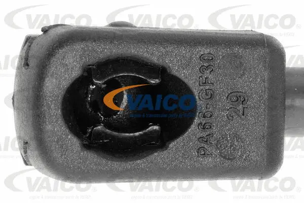 Gas Spring, boot/cargo area