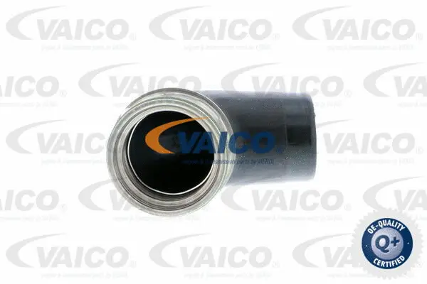 Charge Air Hose