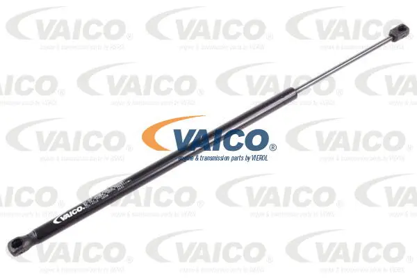 Gas Spring, boot/cargo area