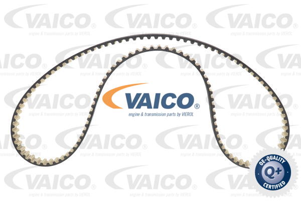Timing Belt