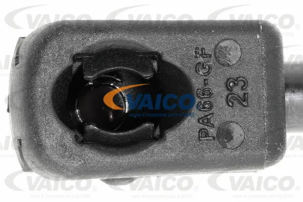 Gas Spring, boot/cargo area