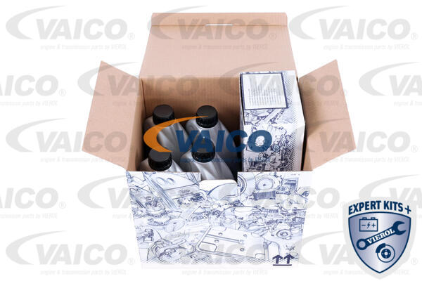 Timing Belt Kit