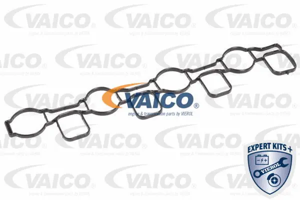 Intake Manifold Module