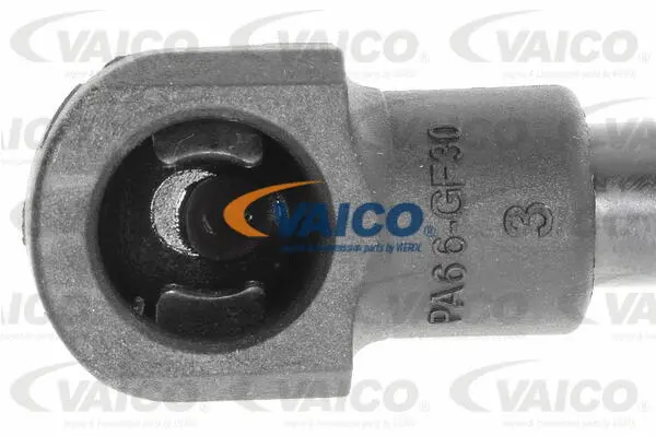 Gas Spring, boot/cargo area