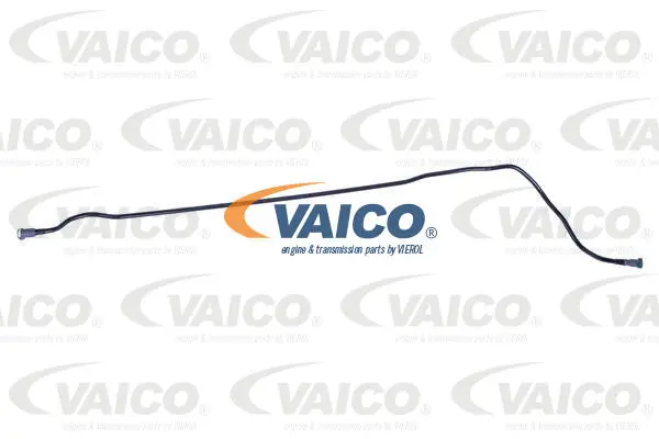 Fuel Line