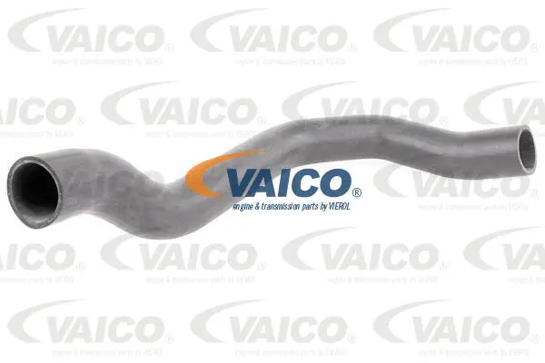 Charge Air Hose