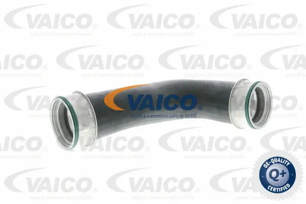 Charge Air Hose