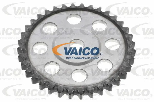 Gear/Sprocket, camshaft