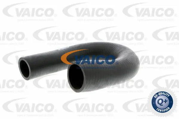 Charge Air Hose