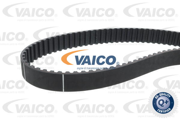 Timing Belt